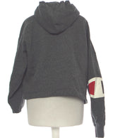 434687 Pulls et gilets CHAMPION Occasion Vêtement occasion seconde main